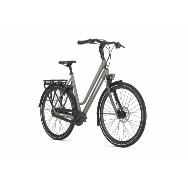 Gazelle Chamonix C8 Clay Green Mat Dames - Afbeelding 3